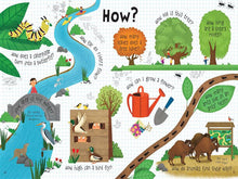 Load image into Gallery viewer, Lift-the-Flap Questions and Answers about Nature(Board Book)
