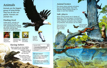 Load image into Gallery viewer, First Encyclopedia Of Science (Hardcover)