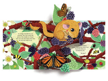 Load image into Gallery viewer, Pop-Up Nature