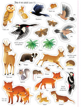 Load image into Gallery viewer, First Sticker Book Nature