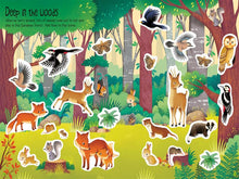 Load image into Gallery viewer, First Sticker Book Nature
