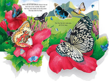 Load image into Gallery viewer, Pop-Up Butterflies