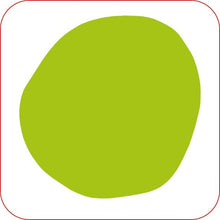 Load image into Gallery viewer, Colours Matching Games and Book
