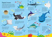 Load image into Gallery viewer, Usborne Book and Jigsaw Animals of the World