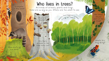 Load image into Gallery viewer, Lift-the-Flap First Questions and Answers Why do we need trees?