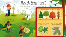 Load image into Gallery viewer, Lift-the-Flap First Questions and Answers Why do we need trees?