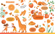 Load image into Gallery viewer, Big Book of Colours (Hardcover )