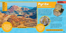 Load image into Gallery viewer, Little Kids First Big Book of Rocks, Minerals & Shells (First Big Books) Hardcover