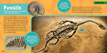 Load image into Gallery viewer, Little Kids First Big Book of Rocks, Minerals & Shells (First Big Books) Hardcover