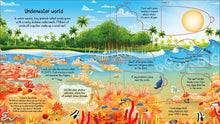 Load image into Gallery viewer, Look inside a Coral Reef