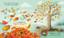 Load image into Gallery viewer, Usborne Life Cycles: One Little Tree