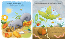 Load image into Gallery viewer, Usborne Life Cycles: One Little Tree