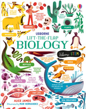 Load image into Gallery viewer, Lift-the-Flap Biology(Board Book)