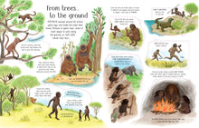 Load image into Gallery viewer, See Inside Evolution (Hardcover)