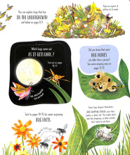 Load image into Gallery viewer, Lift-the-Flap Bugs and Butterflies(Board Book)