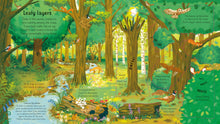 Load image into Gallery viewer, Look Inside the Woods (Board book)