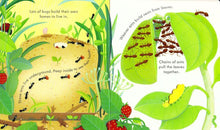 Load image into Gallery viewer, Peep Inside Bug Homes (Board book)