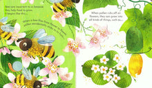 Load image into Gallery viewer, Peep Inside a Beehive (Board book)