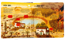 Load image into Gallery viewer, Look Inside Wild Weather (Board book)