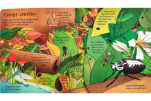 Load image into Gallery viewer, Look Inside the Jungle (Board book)