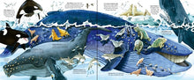 Load image into Gallery viewer, Big Book Of Big Sea Creatures (Board book )