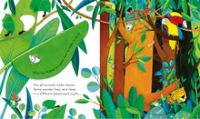 Load image into Gallery viewer, Peep Inside Animal Homes (Board book)