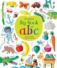 Load image into Gallery viewer, Big Book of ABC (Board book )