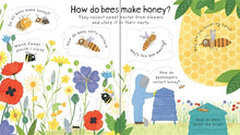Load image into Gallery viewer, Lift-the-Flap First Questions and Answers Why do we need bees?(Board Book)