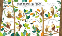 Load image into Gallery viewer, Lift-the-Flap First Questions and Answers What are Feelings?(Board Book)