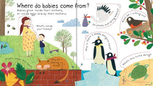 Load image into Gallery viewer, Lift-the-Flap First Questions and Answers Where do babies come from?(Board Book)