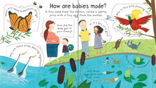 Load image into Gallery viewer, Lift-the-Flap First Questions and Answers Where do babies come from?(Board Book)