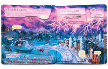 Load image into Gallery viewer, Look Inside Wild Weather (Board book)