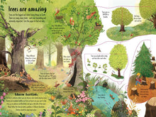 Load image into Gallery viewer, Lift-the-Flap Trees(Board Book)