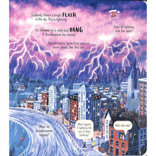 Load image into Gallery viewer, Look Inside Wild Weather (Board book)