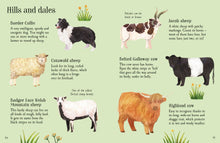 Load image into Gallery viewer, Farm Animals to Spot
