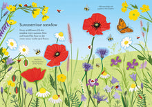 Load image into Gallery viewer, Little First Stickers Wildflowers
