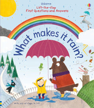 Load image into Gallery viewer, Lift-the-Flap First Questions &amp; Answers What Makes It Rain?（Board Book）
