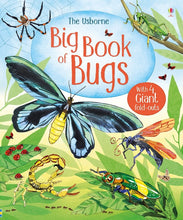 Load image into Gallery viewer, Big Book of Bugs (Hardcover )
