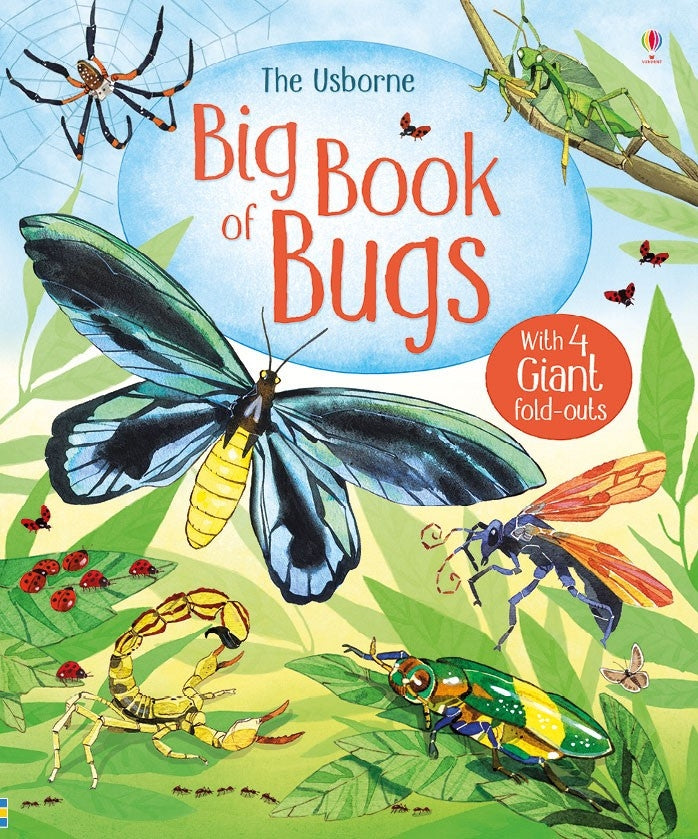 Big Book of Bugs (Hardcover )