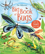 Big Book of Bugs (Hardcover )