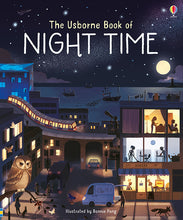 Load image into Gallery viewer, Usborne Book of Night Time
