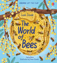 Load image into Gallery viewer, Look Inside the World of Bees (Board book)
