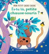 Es-tu là, petite chauve-souris?