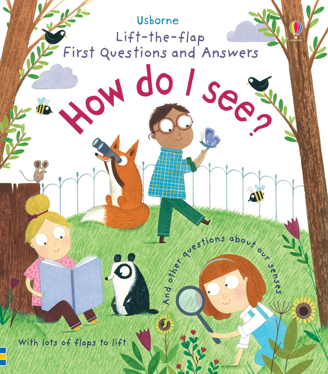 Lift-the-Flap First Questions and Answers How do I see?（Board Book）