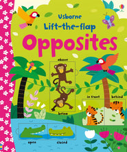 Load image into Gallery viewer, Lift-the-Flap Opposites（Board Book）
