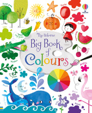 Load image into Gallery viewer, Usborne Book and Jigsaw Colours
