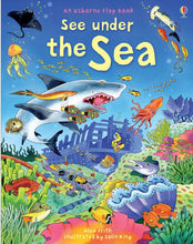 Load image into Gallery viewer, See Under the Sea (Board book)
