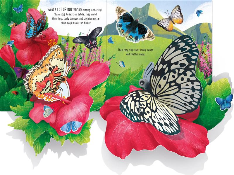 A Glimpse of the Butterfly • VAN Magazine