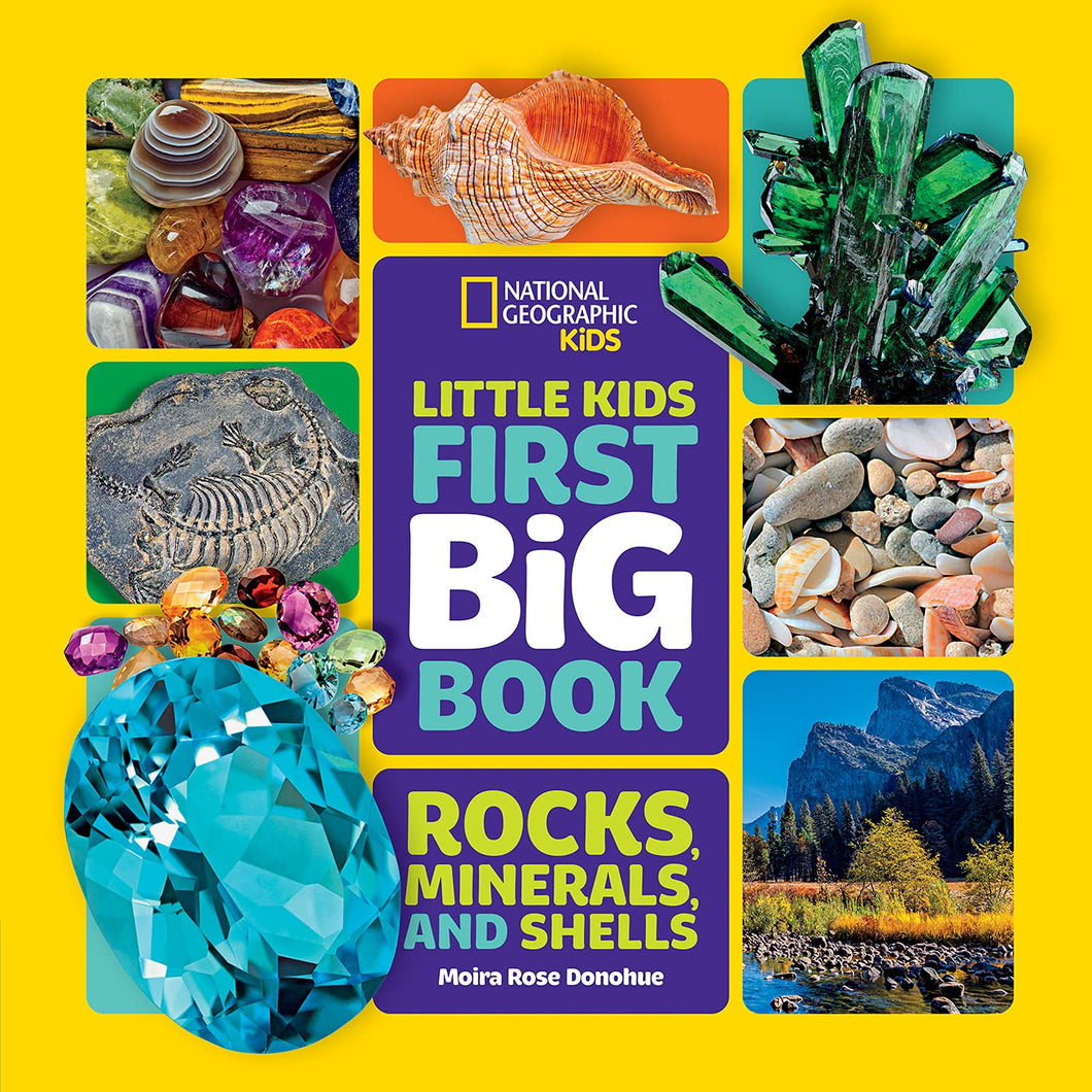Little Kids First Big Book of Rocks, Minerals & Shells (First Big Books) Hardcover