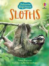 Load image into Gallery viewer, Sloths
